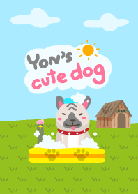Yon's cute dog