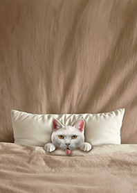 Fun playful cat blanket-white cat1E
