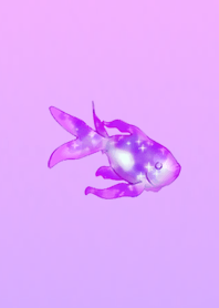 Crystal Goldfish Pink Purple