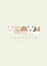 GUINEA PIG-GREEN 10