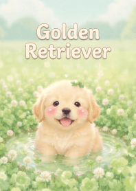 Lovely golden retriever In Clover