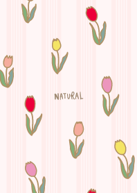 lots of tulips29 from Japan