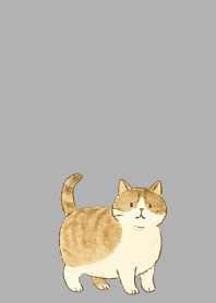 Cats are soothing05 white