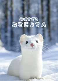 The angelic ermine 2