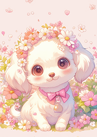 超可愛の馬爾濟斯❤