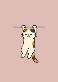 Hanging Scottish Fold (Dusty Pink)#4