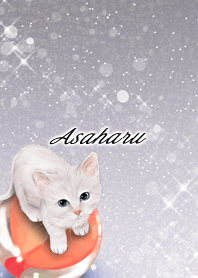 Asaharu White cat and marbles