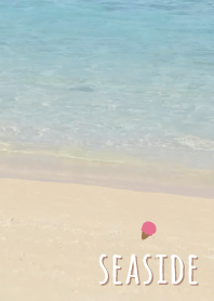 海濱 冰'摩卡棕'