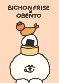 ビションフリーゼとおべんとう