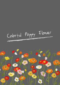 Colorful Poppy Flower -gray-