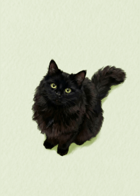 Black Cat Green theme.