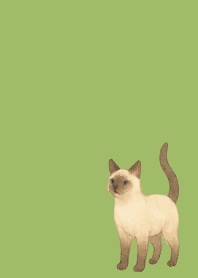 Siamese cat holiday mossgreen