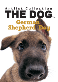 THE DOG ジャーマン•シェパード•ドッグ