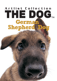 THE DOG German Shepherd Dog