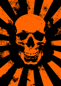 Skull - Orange & Black - Burst