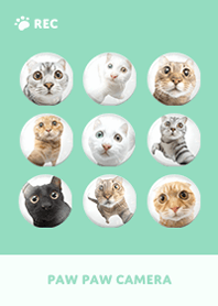 Paw Paw Camera -  Green 11