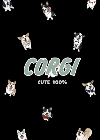 corgicorgi7 / black