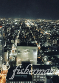 Fantastic night view