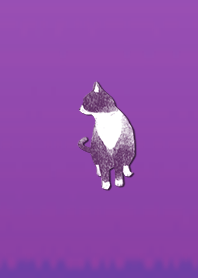 Simple adult cat 1003