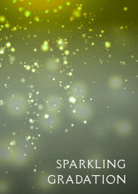 SPARKLING GRADATION THEME /23