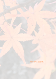 Autumn leaves Theme ver.Japan 9