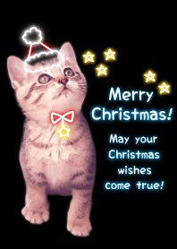 -- Christmas 2019 -- 16