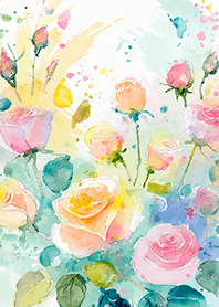 Beautiful rose flower(R4387)