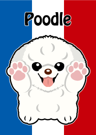 poodle white