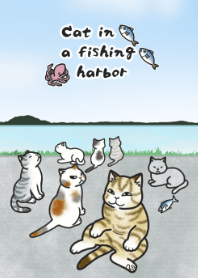 Cat in a fishing harbor