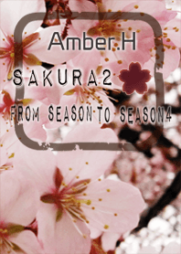Japanese sakura2[From season to season4]