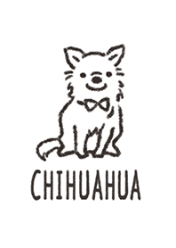 Doodle dog -chihuahua-
