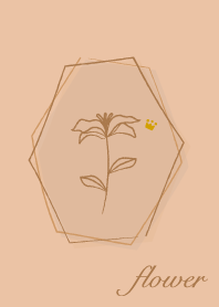 花 <王冠> 杏橙