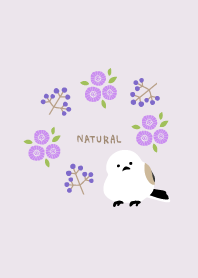 Long-tailed tit flowers and fruit6 Japan