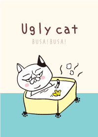 Ugly cat