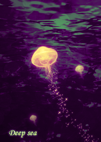 Deep sea [beautiful jellyfish]!!!!