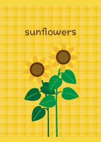 Cute sunflower on yellow