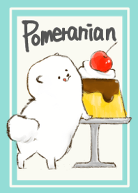 pomeranian and Caramel custard!