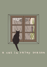 a cat in rainy season + white [os]