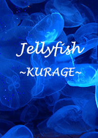 Jellyfish～クラゲ～