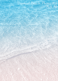 Tropical Beach Photo 378 Not AI