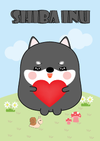 Love Cute Fat Black Shiba Inu Theme