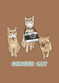 gingercat2 / caramel