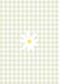 Green Daisy and Check