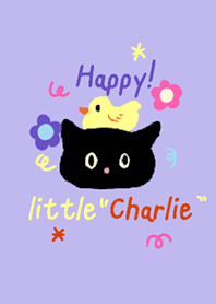 Happy little Charlie (black cat) !