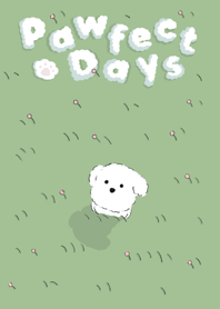 Pawfect Days (Edited ver.)