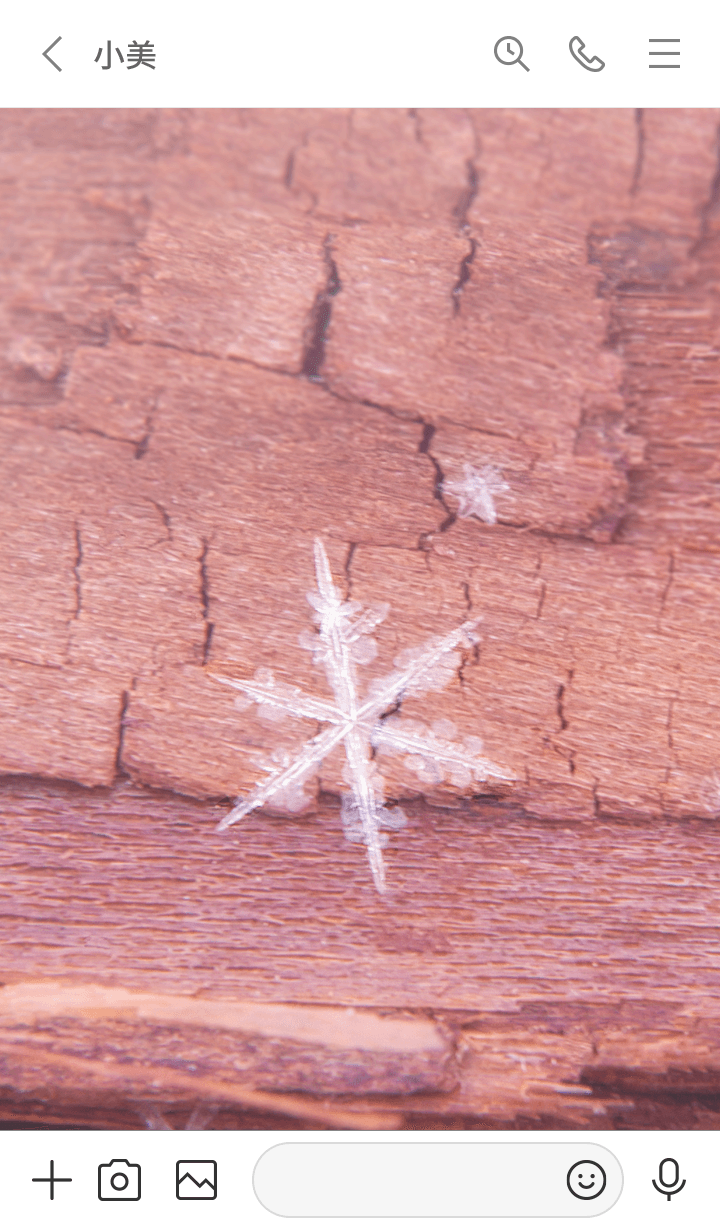 preview_003_720x1232