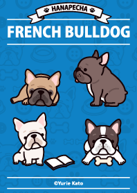 HANAPECHA FRENCHBULLDOG