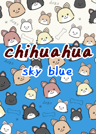 chihuahua theme9 sky blue