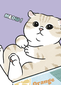 neko single17 - violet