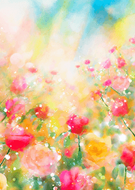 Beautiful rose flower(R5379)